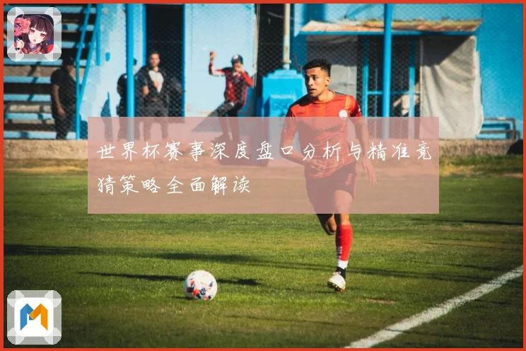 世界杯赛事深度盘口分析与精准竞猜策略全面解读