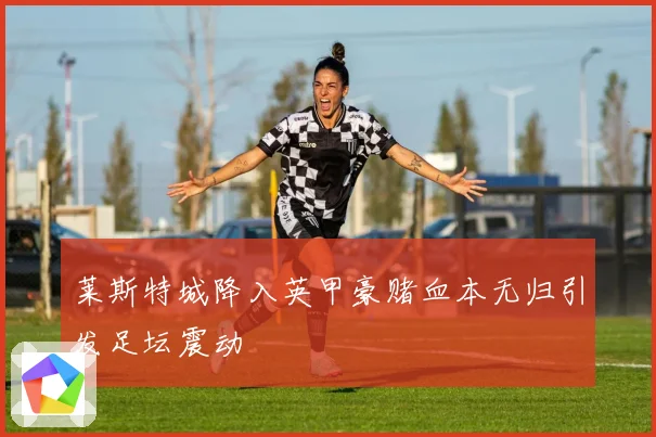 莱斯特城降入英甲豪赌血本无归引发足坛震动